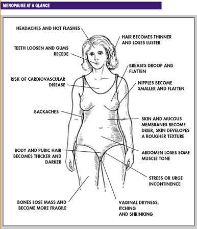 Low testosterone in females symptoms
